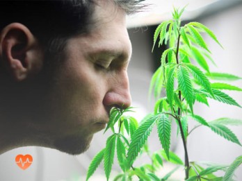 Детоксикация от марихуаны в Марксе